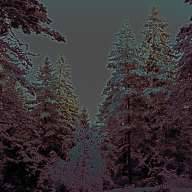 The Nulll Collective : Jingle Bells